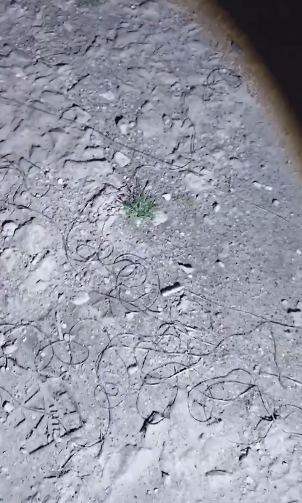 Ймовірно розкидані графітові стрічки після застосування українських дронів