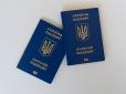 Частина закордонних паспортів українців втратила чинність: У чому причина