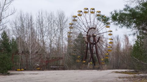 Не через радіацію. Чому насправді з Чорнобильської зони зникли голуби і білі лелеки