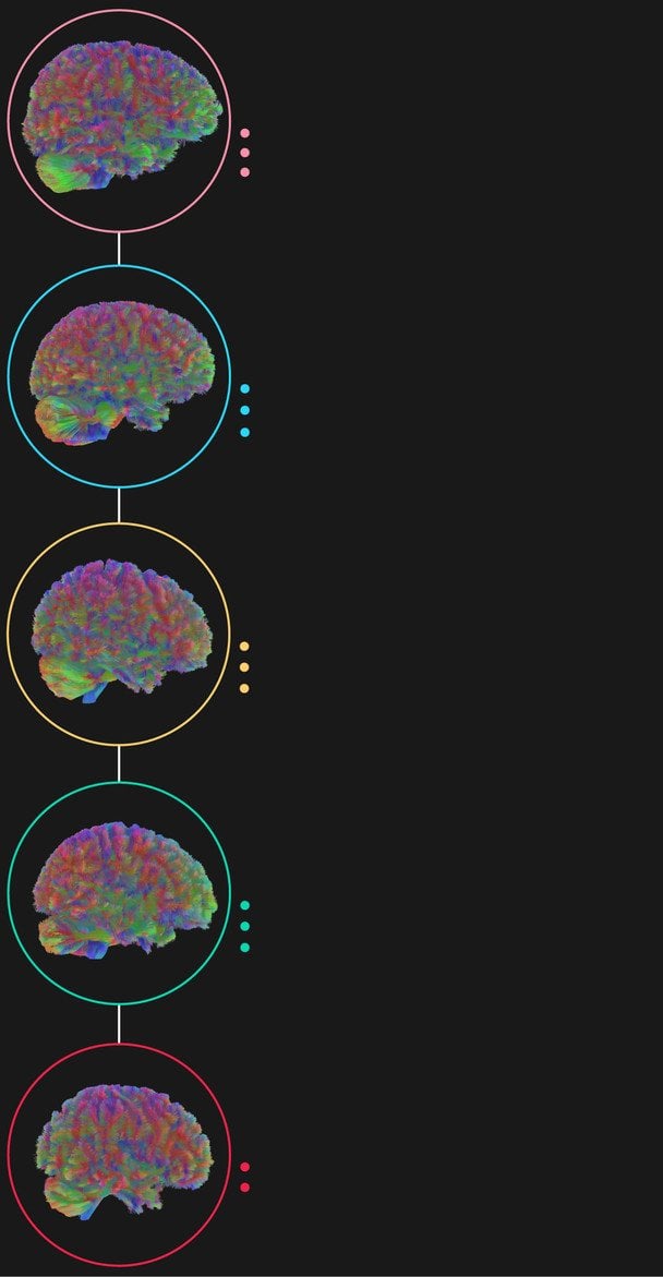  / © dailymail.co.uk