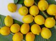 Варто знати! Лікарі попередили про побічні ефекти вживання лимону