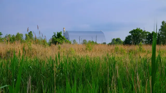 Пишний зелений луг, обрамлений деревами. На тлі - частина Чорнобильської атомної електростанції, накрита сріблястою захисною спорудою.