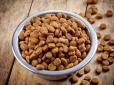 А ви це знали? Чому сухий корм може вбити вашого кота