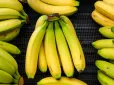 Названо найкращий час їсти банани: дуже важливо для мозку