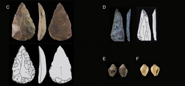 Крем'яні знаряддя та мушлі з печери Учагизли. Baykara et al. / PNAS, 2026