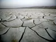 Біологи опублікували нове дослідження, щодо змін природного середовища Землі на 2100 рік