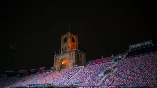 Підпис до фото,Загальний вигляд стадіону "Ренато Далл'Ара"