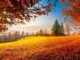 Літо не хоче відступати: Синоптик розповів, де в Україні температура підскочить до +33°С