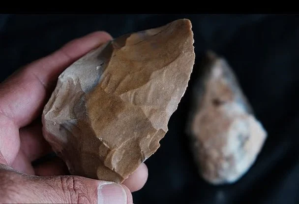 Тут і далі Знахідки вчених у печері в Ізраїлі / © Israel Antiquities Authority