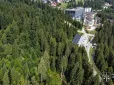 20 ділянок лісу  зі столітніми деревами біля Буковеля незаконно віддали під котеджну забудову. Втрутилась прокуратура