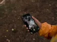 Батарея смартфона сідає дедалі швидше? Які помилки допускають майже всі
