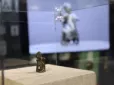 Галицький музей отримав унікальний артефакт бронзової доби, подібних не має жоден інший заклад України