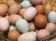 Чому яйця не можна зберігати на дверцятах холодильника